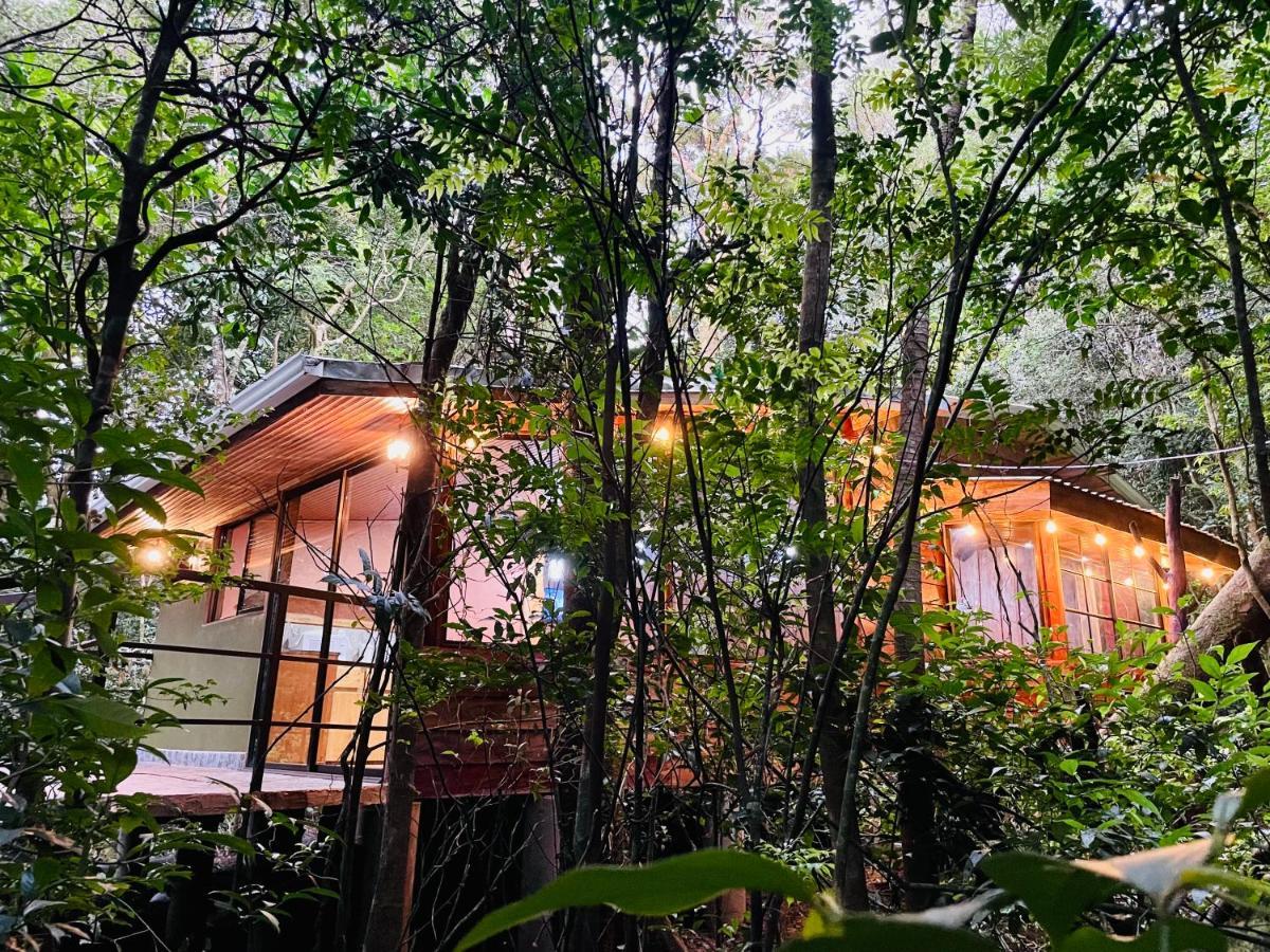 Cabanas La Montana Monteverde Extérieur photo