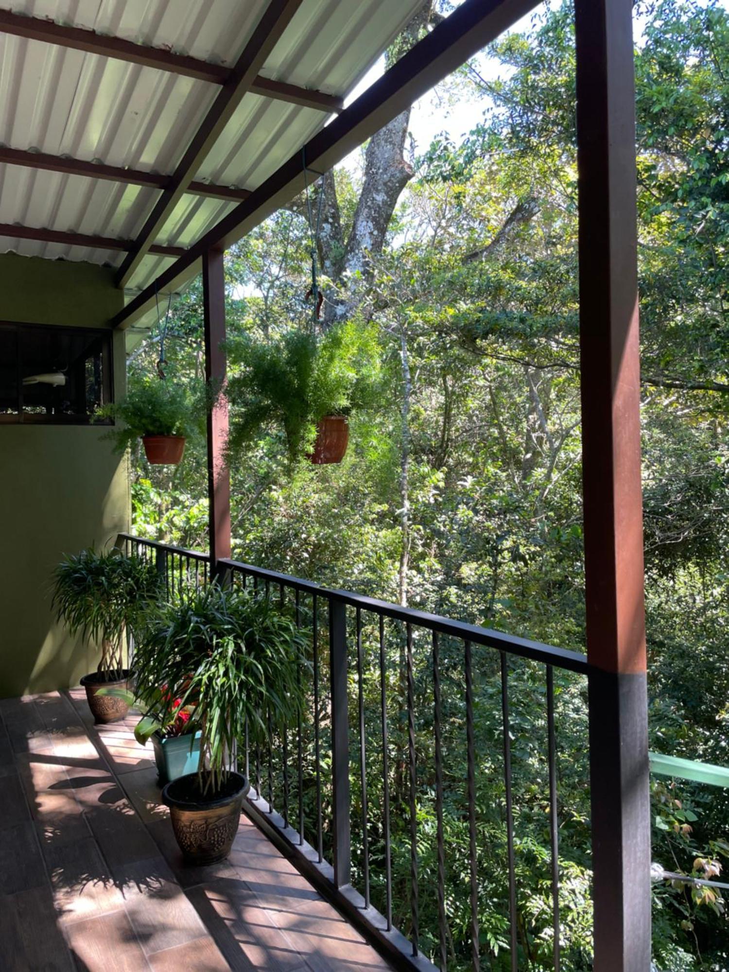 Cabanas La Montana Monteverde Extérieur photo